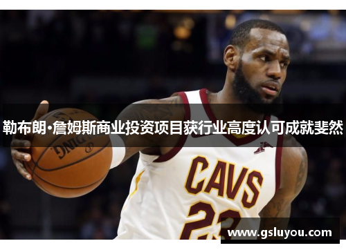 勒布朗·詹姆斯商业投资项目获行业高度认可成就斐然