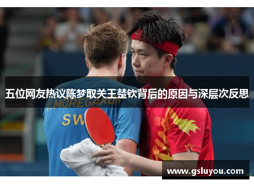 五位网友热议陈梦取关王楚钦背后的原因与深层次反思