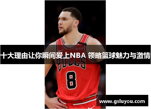 十大理由让你瞬间爱上NBA 领略篮球魅力与激情