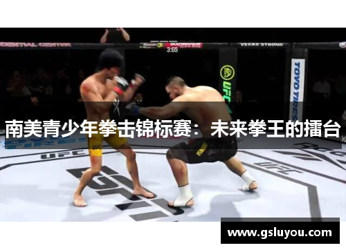 南美青少年拳击锦标赛：未来拳王的擂台