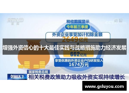 增强外资信心的十大最佳实践与战略措施助力经济发展