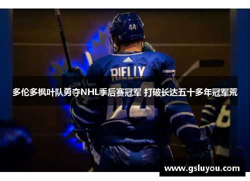 多伦多枫叶队勇夺NHL季后赛冠军 打破长达五十多年冠军荒