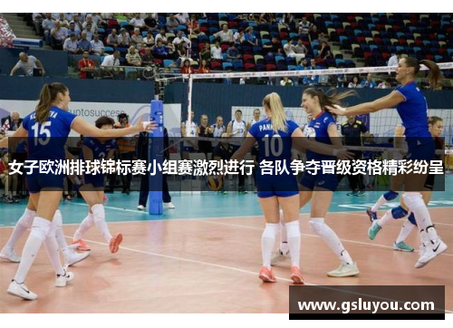 女子欧洲排球锦标赛小组赛激烈进行 各队争夺晋级资格精彩纷呈